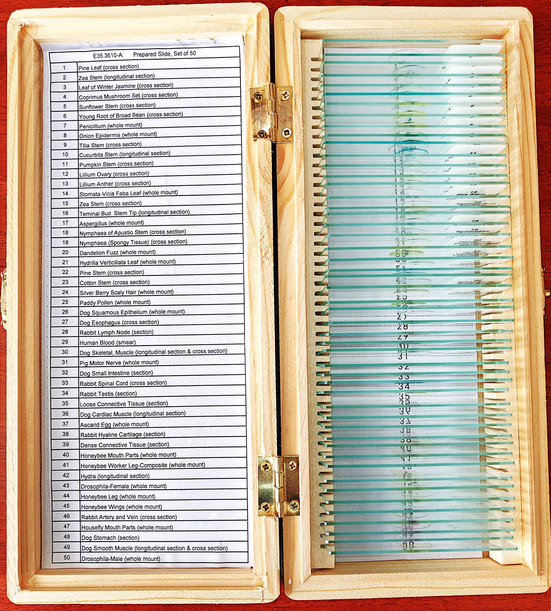 MICROPREPARADOS SURTIDOS CAJA X 50 LAMINAS PREPARED SLIDES OTHERS 4 BIOLOGY BOTANY ZOO CAJA A 353610
