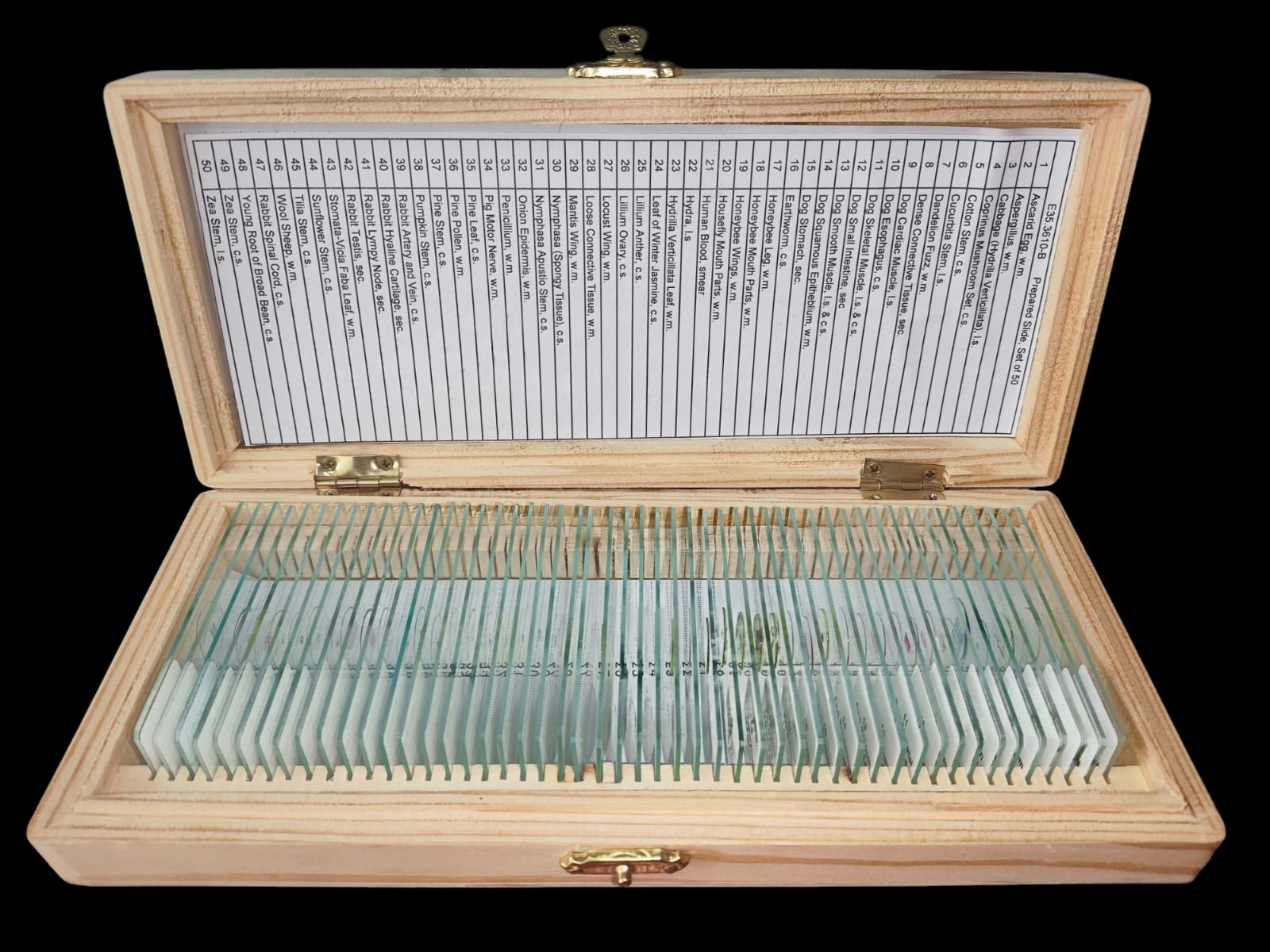 MICROPREPARADOS SURTIDOS CAJA X 50 LAMINAS PREPARED SLIDES OTHERS 4 BIOLOGY BOTANY ZOO CAJA B 353610 - Imagen 2