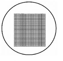 MICROMETRO OCULAR PARA MICROSCOPIO O ESTEREOMICROSCOPIO Net 10*10, DIV=0.5mm,X&Y=5*5mm，dia. 20,4mm P05