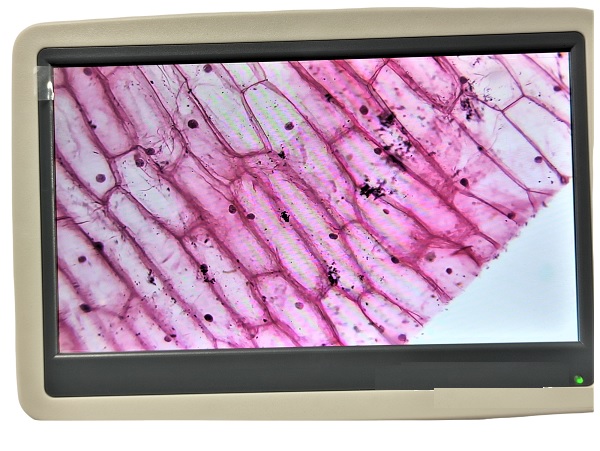 MICROSCOPIO DIGITAL LCD CON SOFTWARE 1000 AUMENTOS MODELO 1000LCD - Imagen 4
